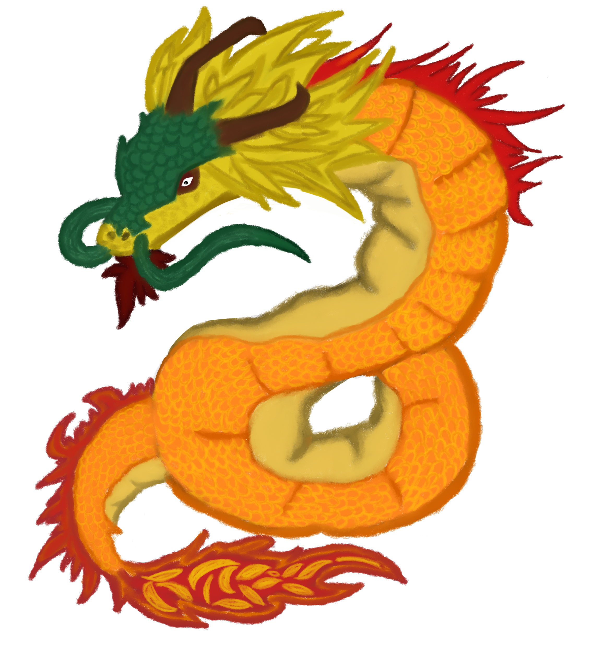 Dragon illustration
